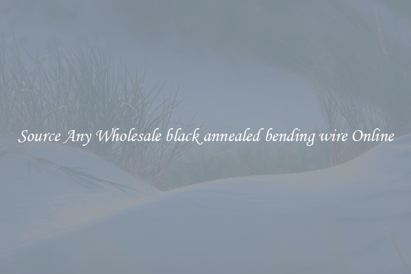 Source Any Wholesale black annealed bending wire Online