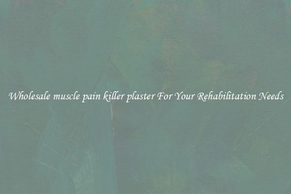 Wholesale muscle pain killer plaster For Your Rehabilitation Needs