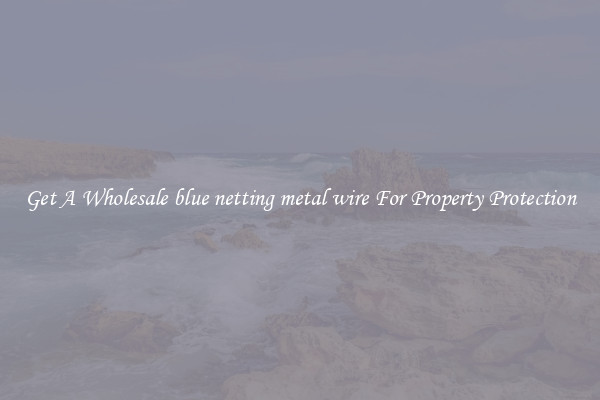 Get A Wholesale blue netting metal wire For Property Protection