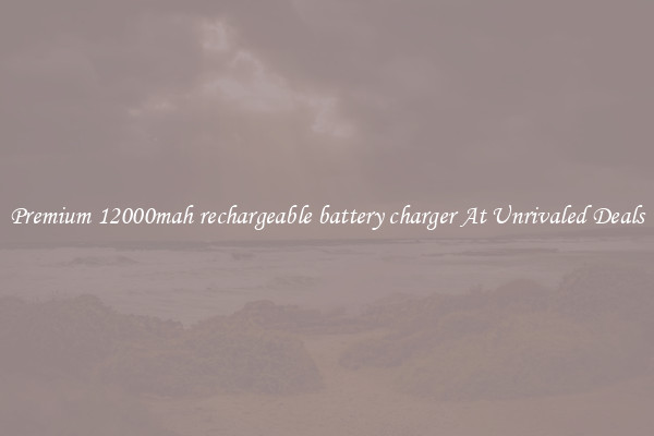 Premium 12000mah rechargeable battery charger At Unrivaled Deals