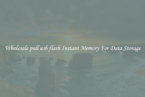 Wholesale pull usb flash Instant Memory For Data Storage