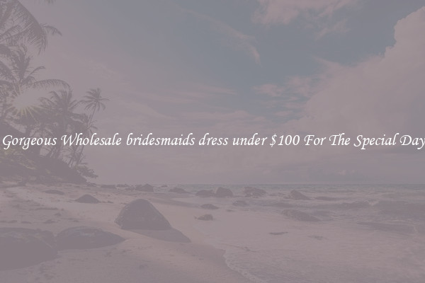 Gorgeous Wholesale bridesmaids dress under $100 For The Special Day