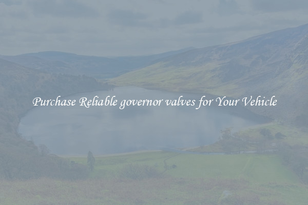 Purchase Reliable governor valves for Your Vehicle