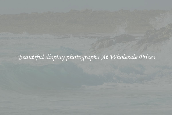 Beautiful display photographs At Wholesale Prices