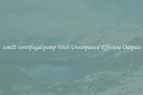 scm22 centrifugal pump With Unsurpassed Efficient Outputs