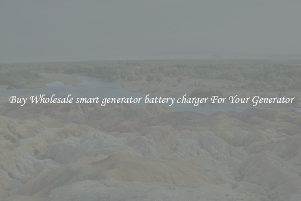 Buy Wholesale smart generator battery charger For Your Generator