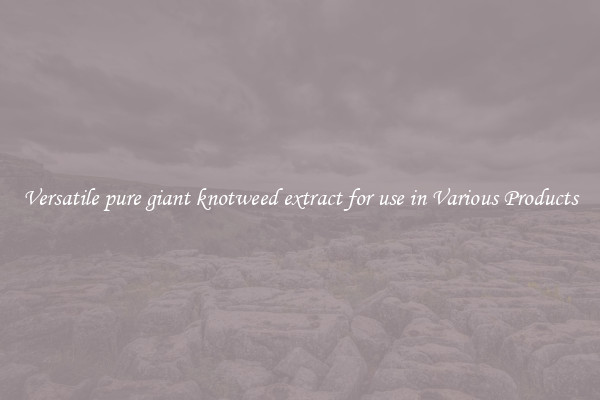 Versatile pure giant knotweed extract for use in Various Products