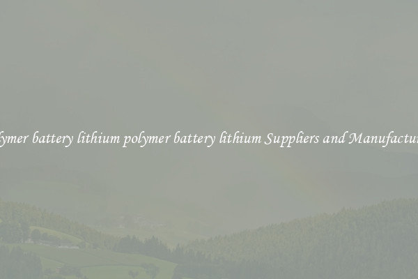 polymer battery lithium polymer battery lithium Suppliers and Manufacturers