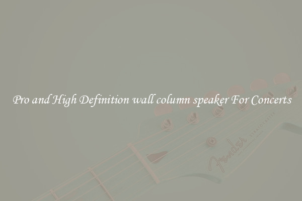 Pro and High Definition wall column speaker For Concerts