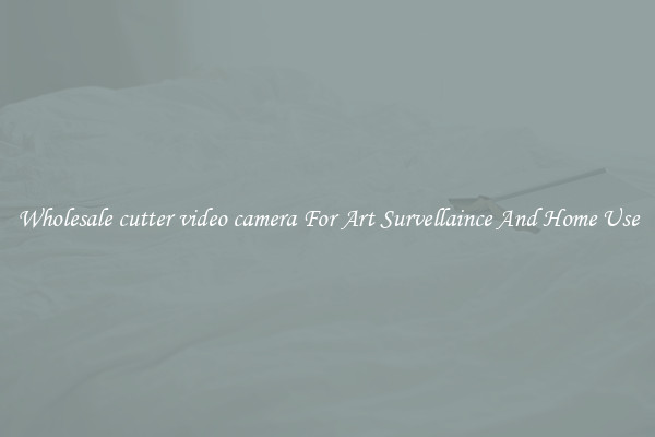 Wholesale cutter video camera For Art Survellaince And Home Use