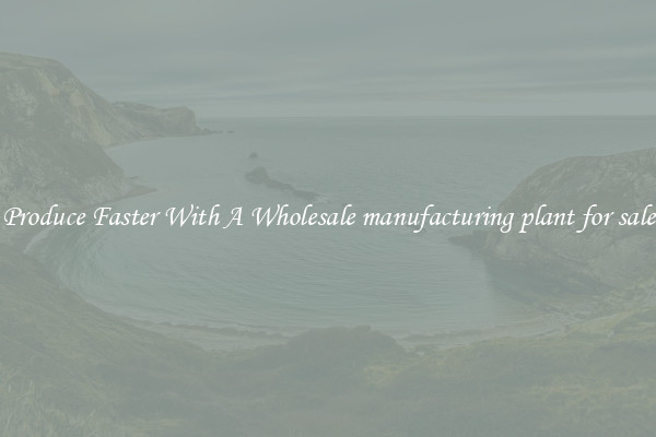 Produce Faster With A Wholesale manufacturing plant for sale