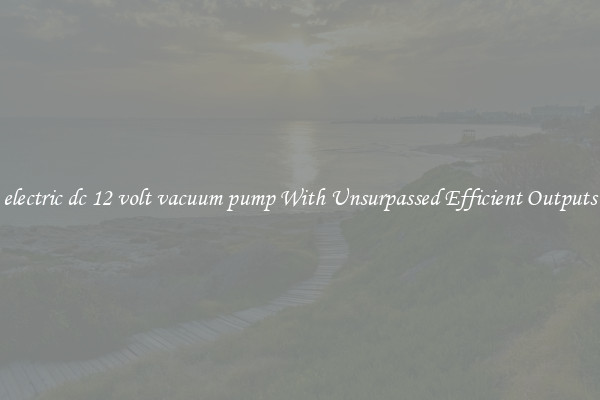 electric dc 12 volt vacuum pump With Unsurpassed Efficient Outputs