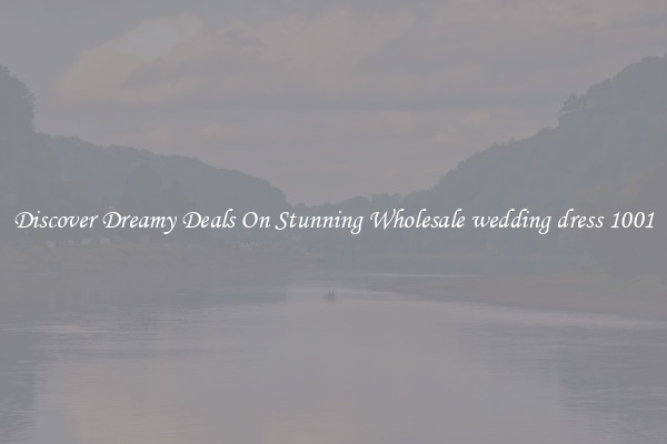 Discover Dreamy Deals On Stunning Wholesale wedding dress 1001