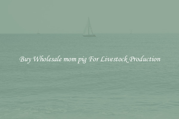 Buy Wholesale mom pig For Livestock Production