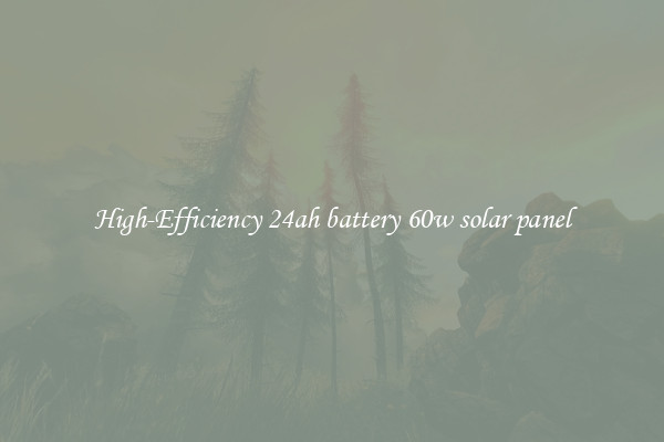 High-Efficiency 24ah battery 60w solar panel