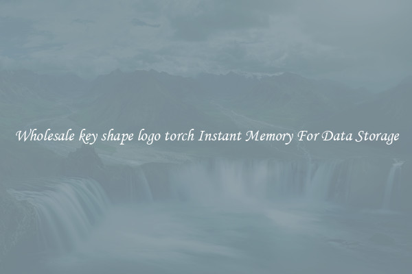Wholesale key shape logo torch Instant Memory For Data Storage