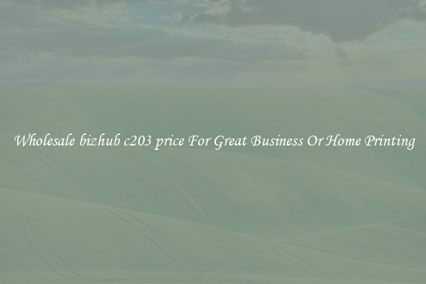 Wholesale bizhub c203 price For Great Business Or Home Printing
