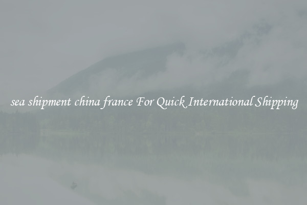 sea shipment china france For Quick International Shipping