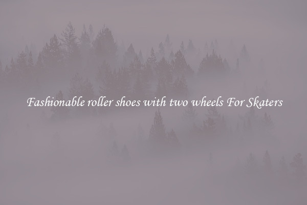 Fashionable roller shoes with two wheels For Skaters