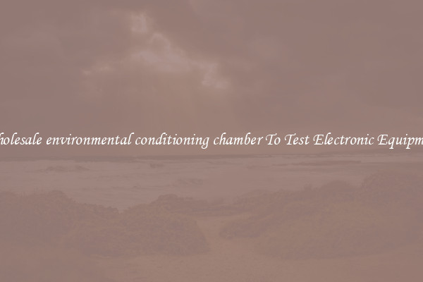 Wholesale environmental conditioning chamber To Test Electronic Equipment