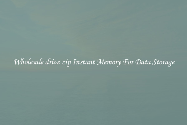 Wholesale drive zip Instant Memory For Data Storage