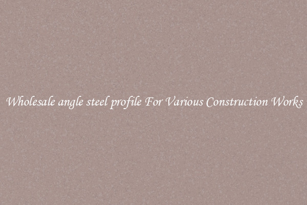 Wholesale angle steel profile For Various Construction Works