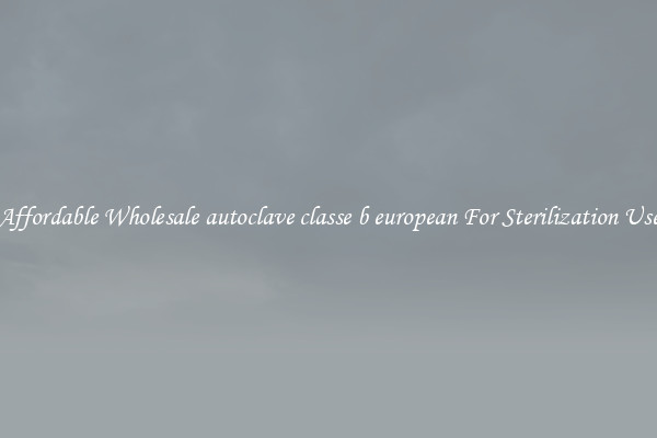 Affordable Wholesale autoclave classe b european For Sterilization Use