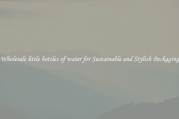 Wholesale little bottles of water for Sustainable and Stylish Packaging