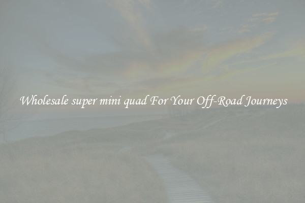 Wholesale super mini quad For Your Off-Road Journeys
