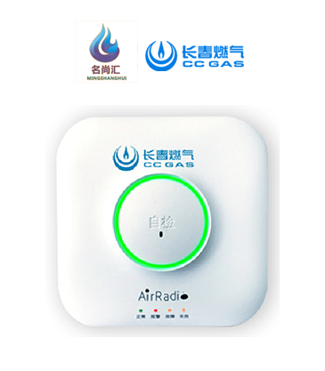 j9国际厅报警器（天然气）